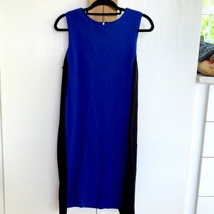 Cobalt/Black Midi Dress